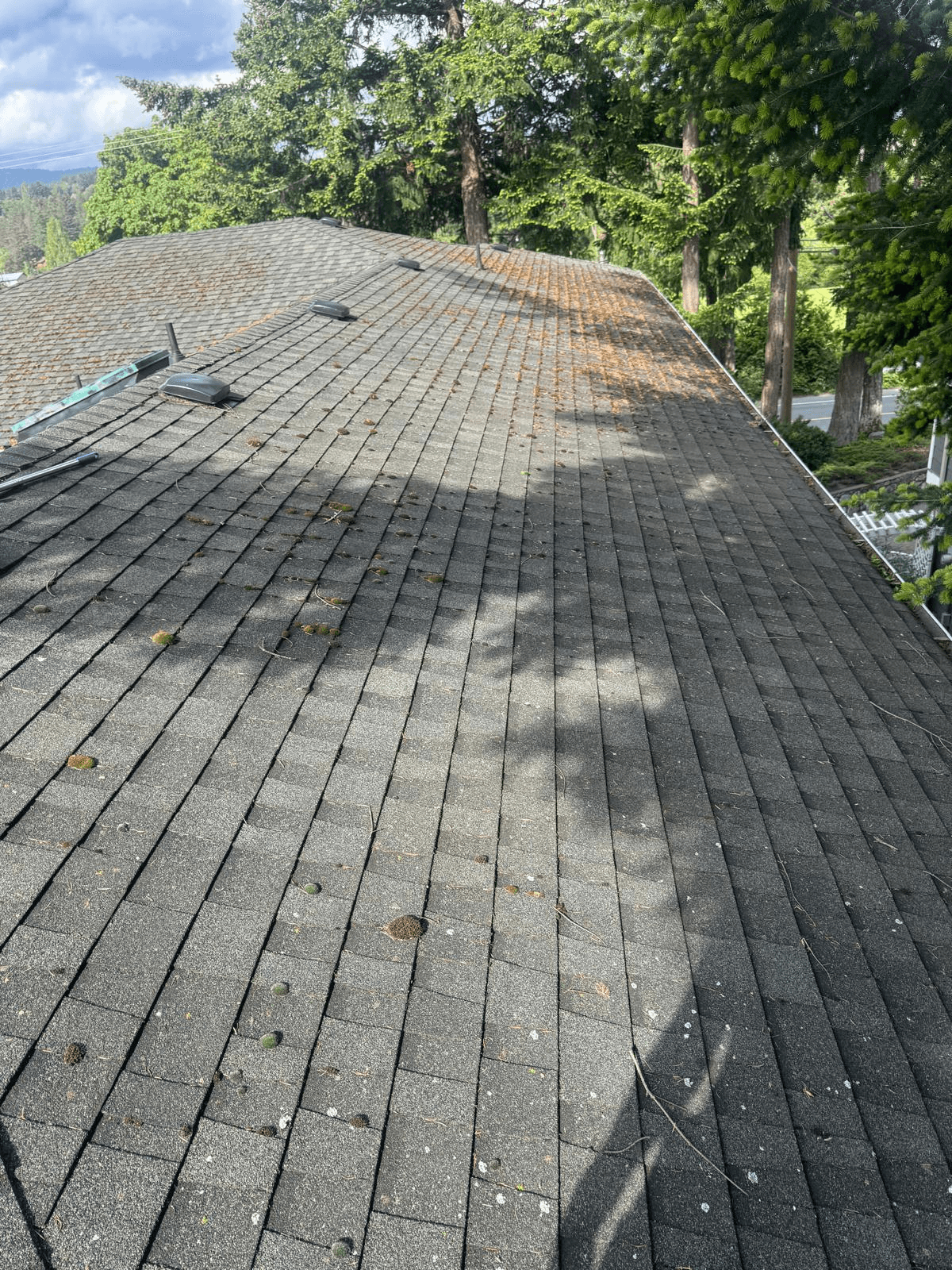 Property before K-Sons cleaning